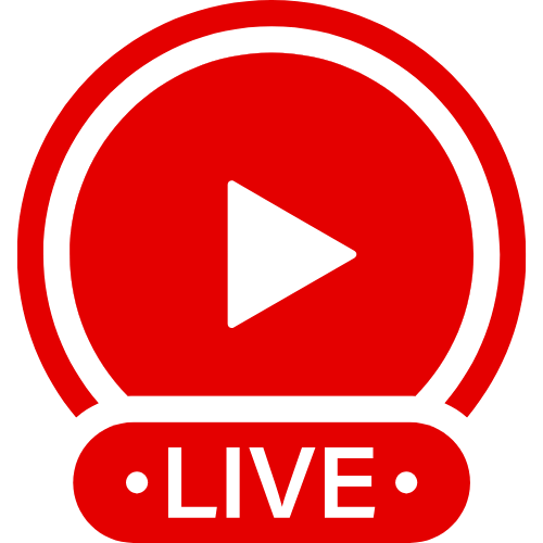 Vixen Femdom | Live Webcam Shows & Interactive Adult Entertainment